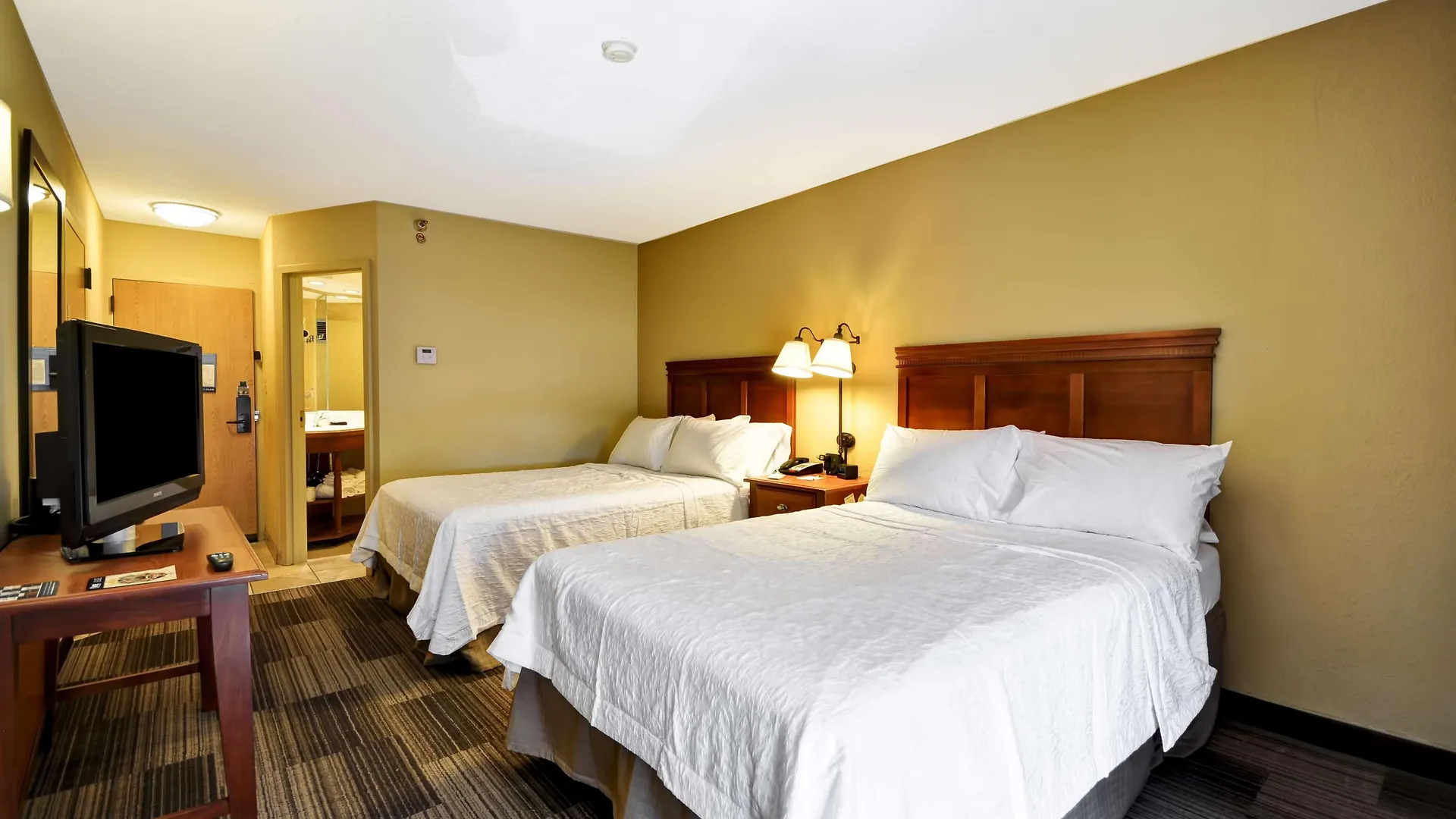 Hotel Hampton Inn Memphis-Poplar
